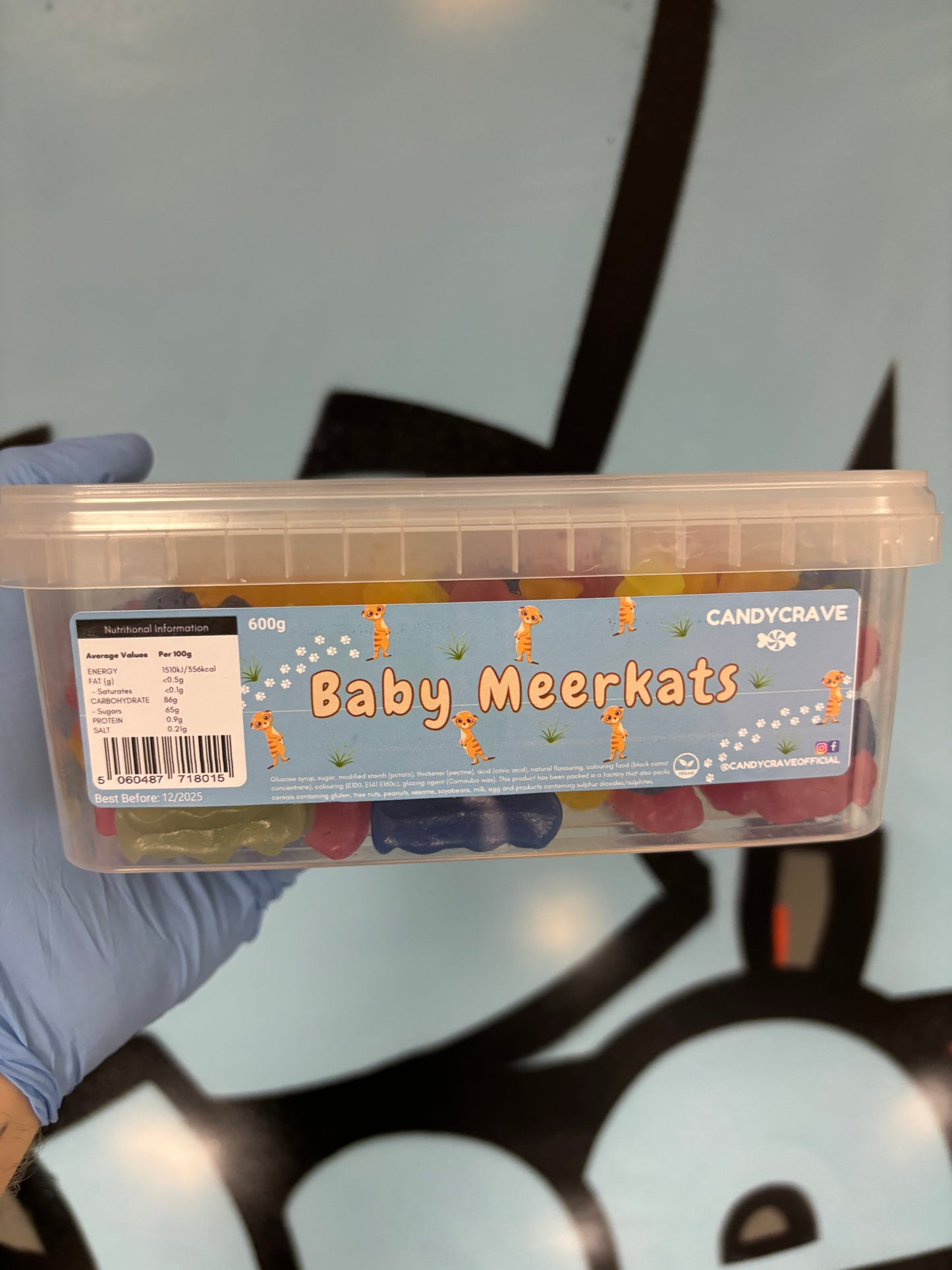 Baby meerkats 600g